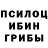 Псилоцибиновые грибы GOLDEN TEACHER Rudith Gutierrez