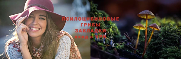 альфа пвп Магас
