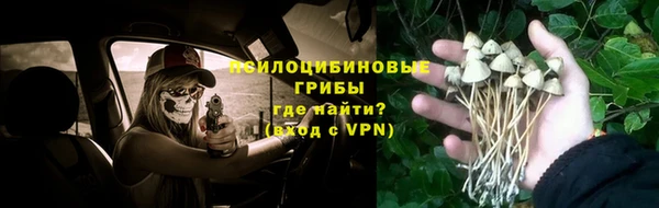соль ск Магадан