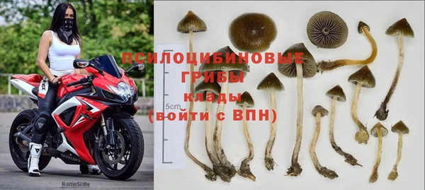 каннабис Майский